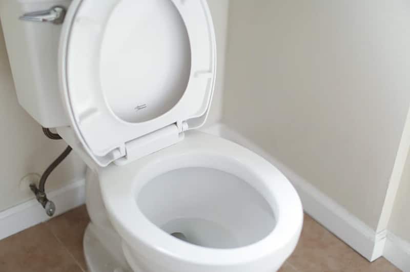 Toilet Flush System